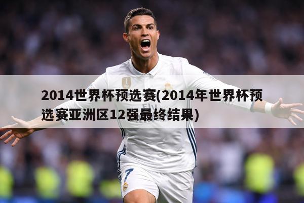 2014世界杯预选赛(2014年世界杯预选赛亚洲区12强最终结果)