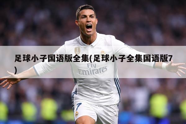 足球小子国语版全集(足球小子全集国语版7)