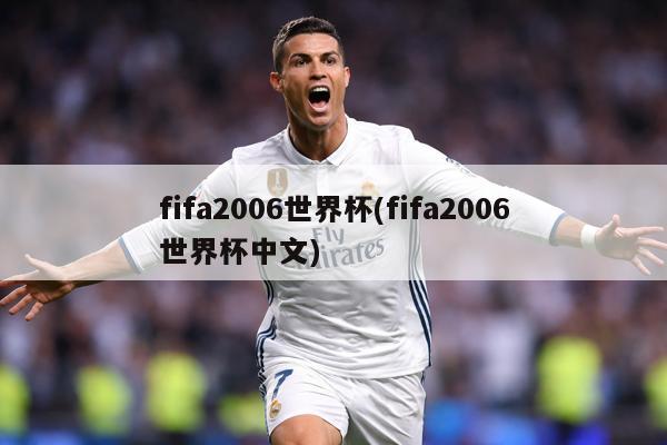 fifa2006世界杯(fifa2006世界杯中文)