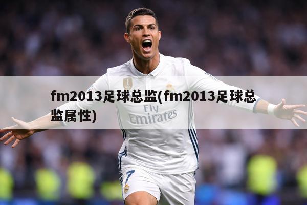 fm2013足球总监(fm2013足球总监属性)