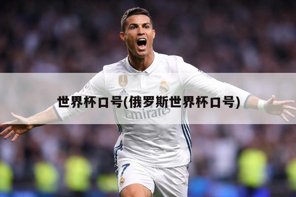 世界杯口号(俄罗斯世界杯口号)