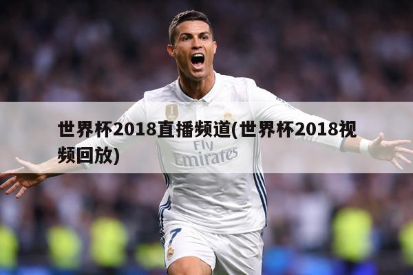 世界杯2018直播频道(世界杯2018视频回放)