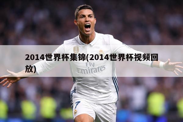 2014世界杯集锦(2014世界杯视频回放)