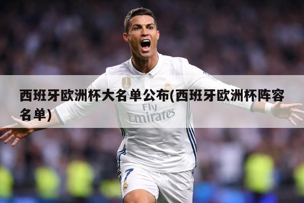 西班牙欧洲杯大名单公布(西班牙欧洲杯阵容名单)